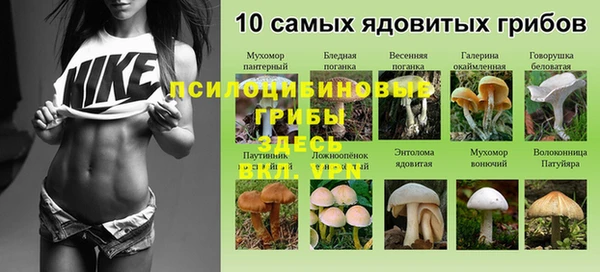 jwh Нея