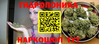 скорость Балахна