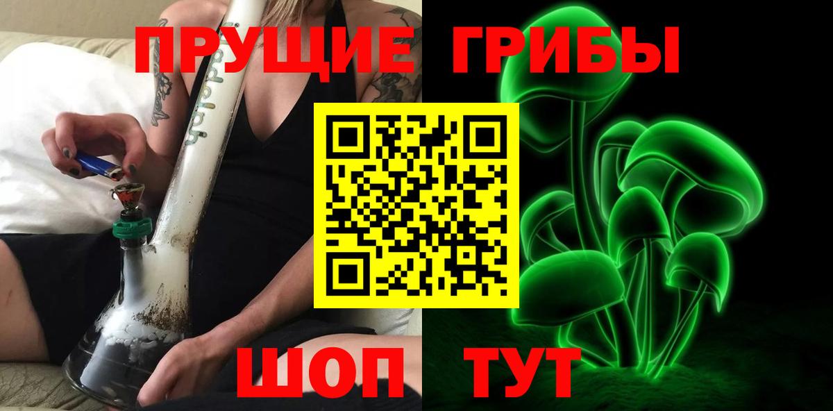 Галлюциногенные грибы Psilocybe  где купить наркотик  Краснодар  Галлюциногенные грибы MAGIC MUSHROOMS 